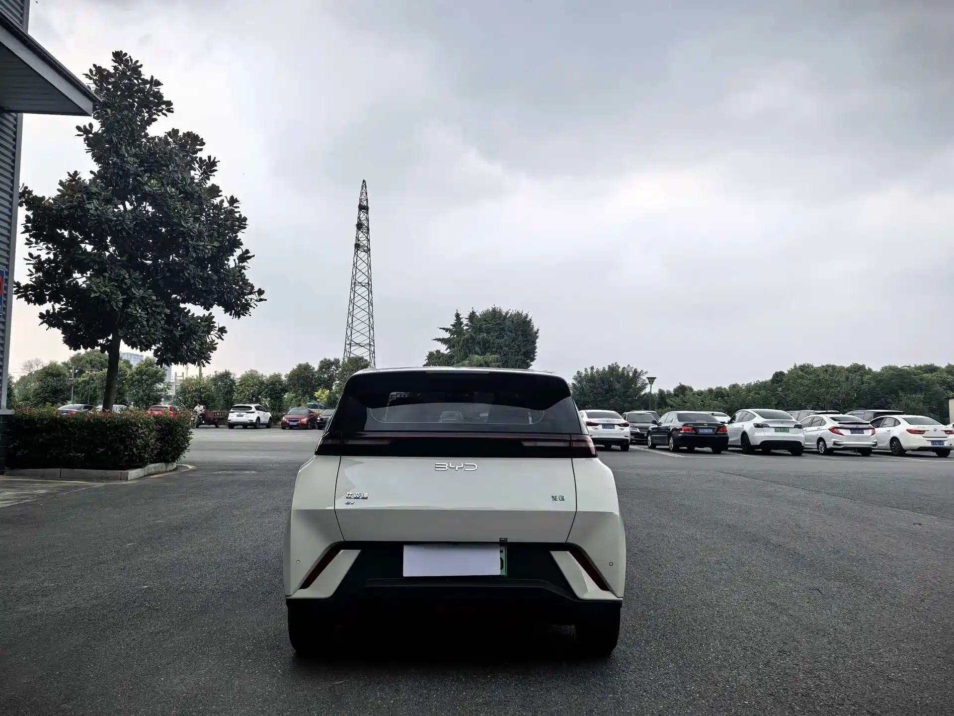 Фото 6 - BYD Seagull
