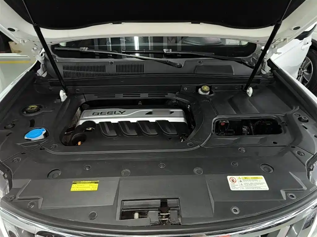 Фото 20 - Geely Boyue