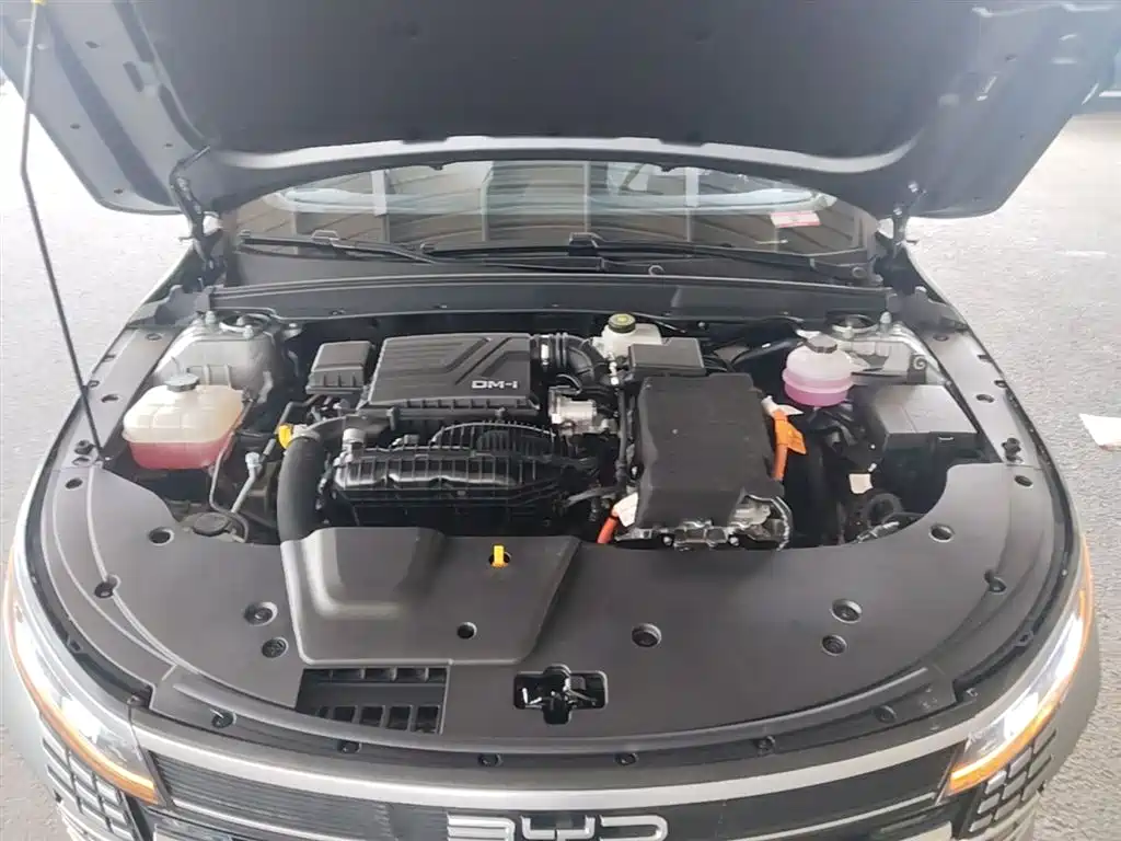 BYD Destroyer 05 2024 Glory Edition DM-i 55KM Luxury фото 20