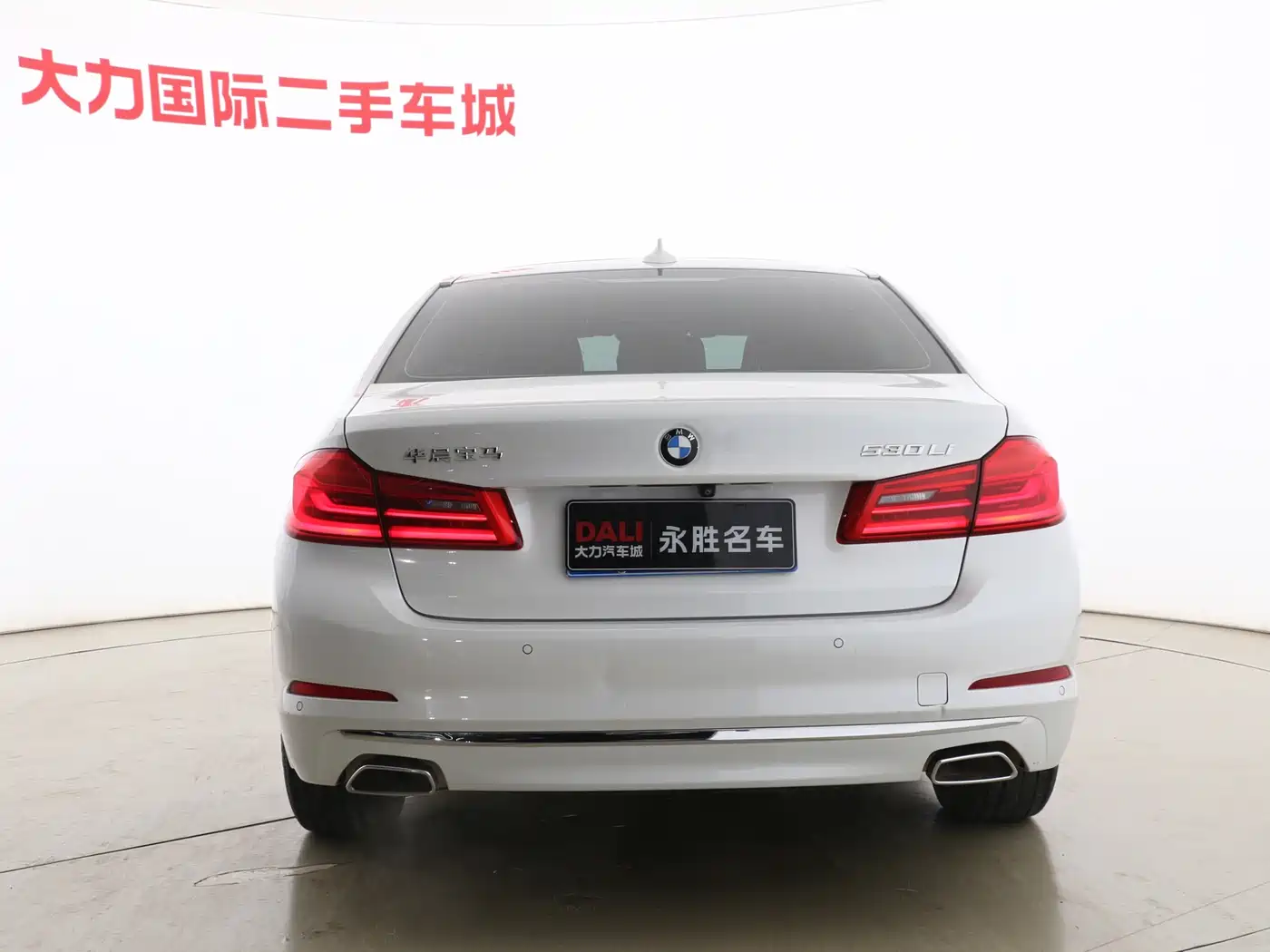 BMW 5 Series 2020 530Li Leading Luxury Package фото 14