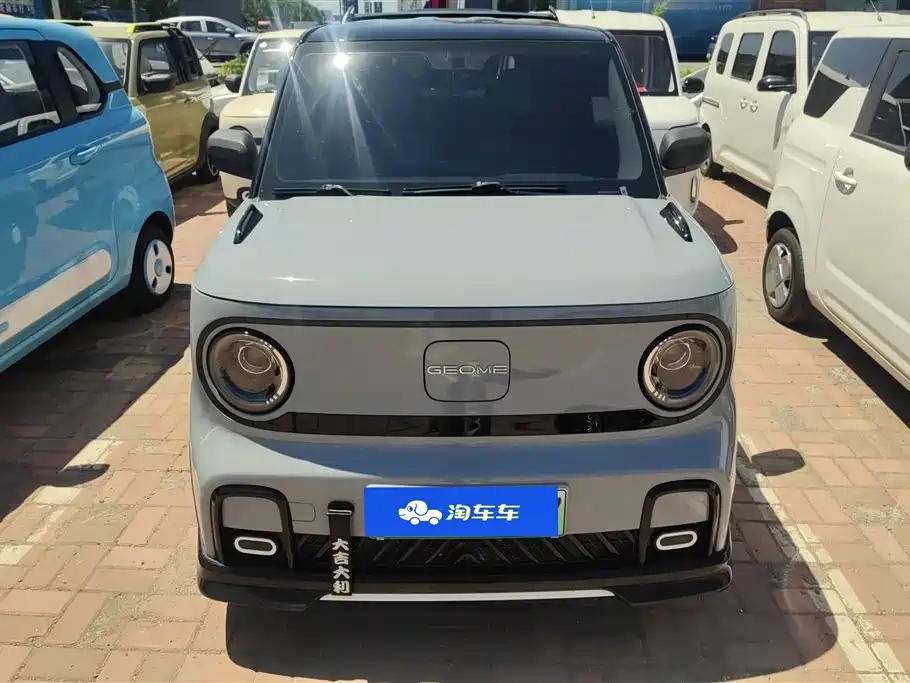 Geely Galaxy Panda 2025 Model Year 210km Panda Kart фото 2