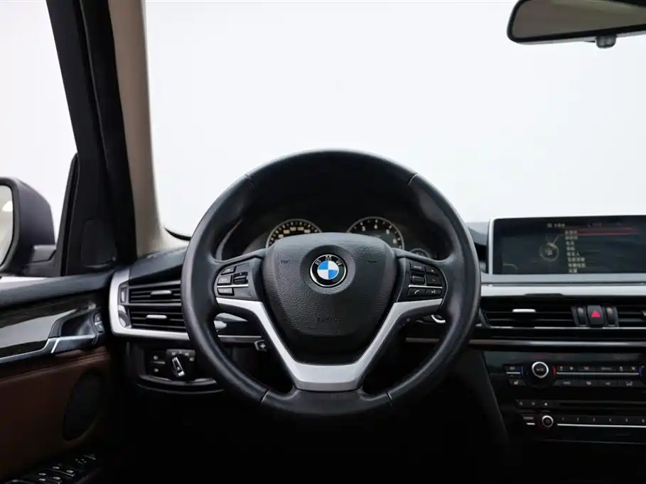 BMW X5 (Import) 2014 xDrive35i Luxury фото 12