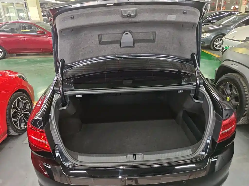 Volkswagen Magotan 2019 330TSI DSG Leading China VI фото 19
