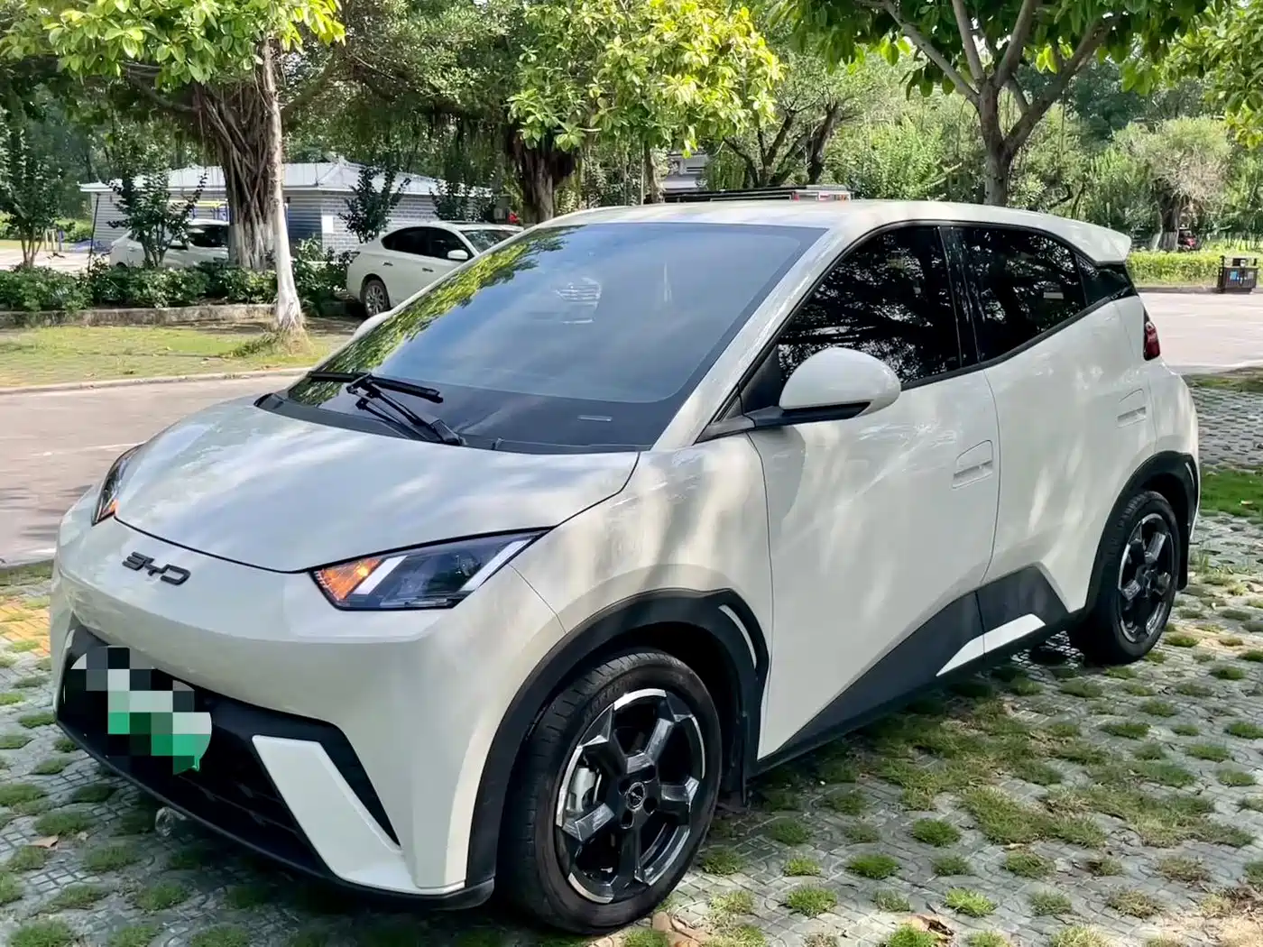 BYD Seagull 2024 Glory Edition 305km Freedom Edition