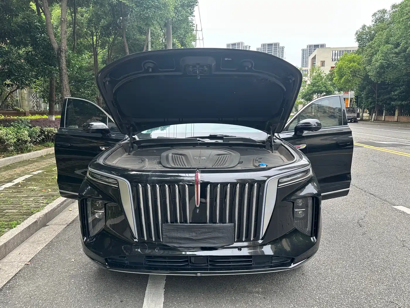 Hongqi E-HS9 2021 460km Flagship Comfort 6-seater фото 9