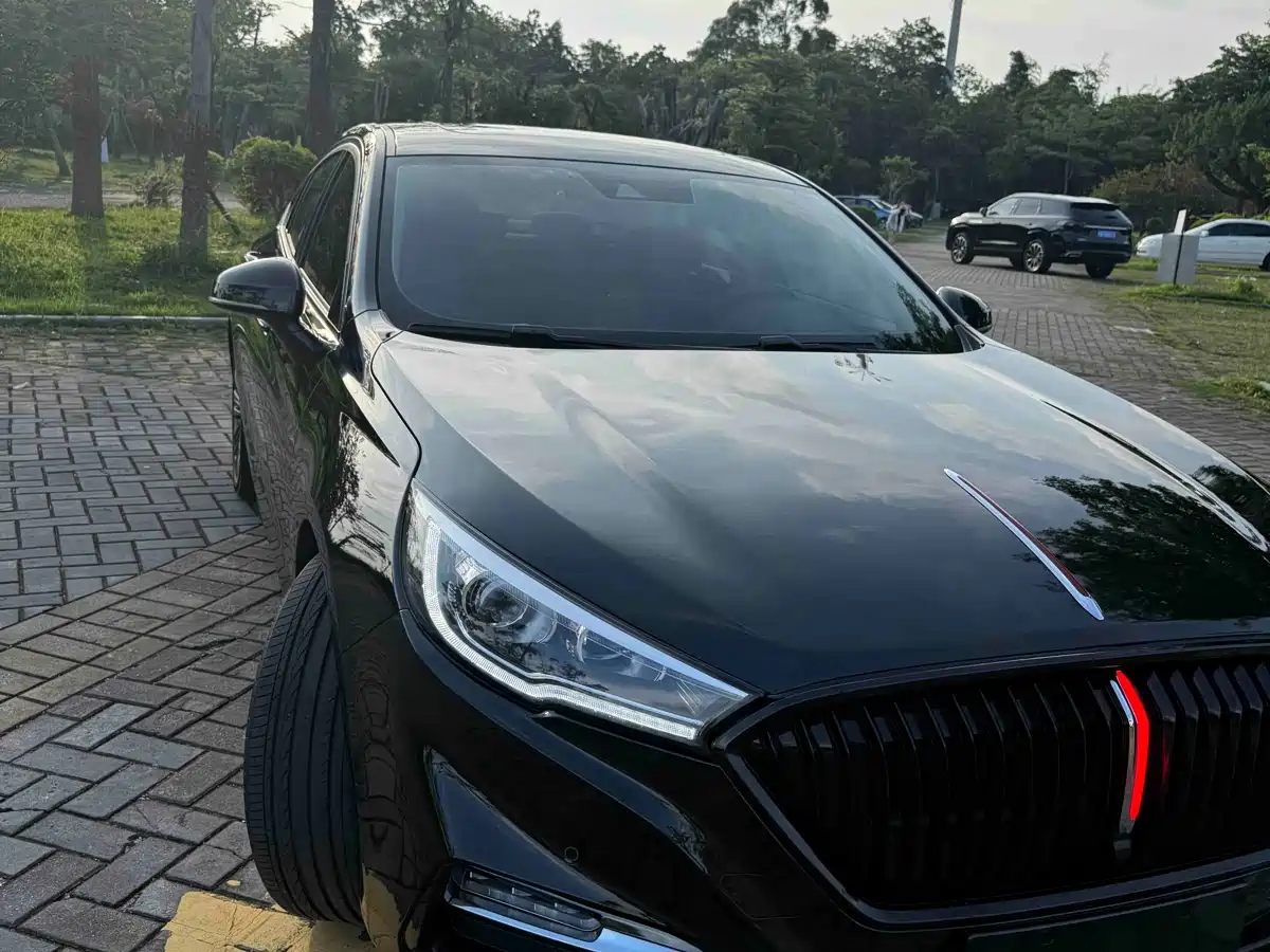 Hongqi H5 2020 1.8T Automatic Smart Connection Qi Enjoy Edition фото 25