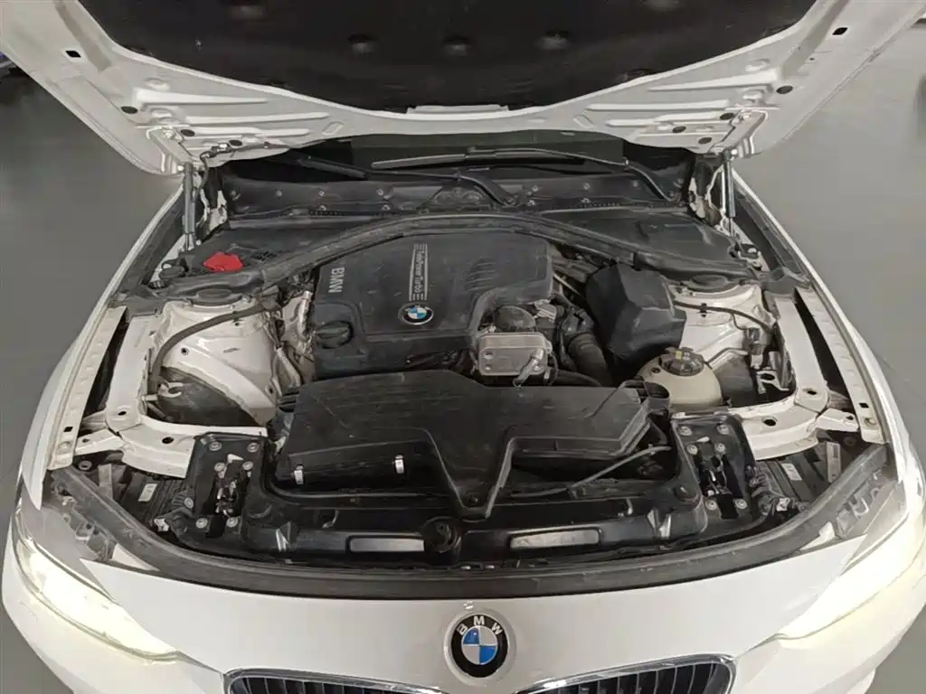 BMW 3 Series 2015 320Li Super Joy Fashion фото 20