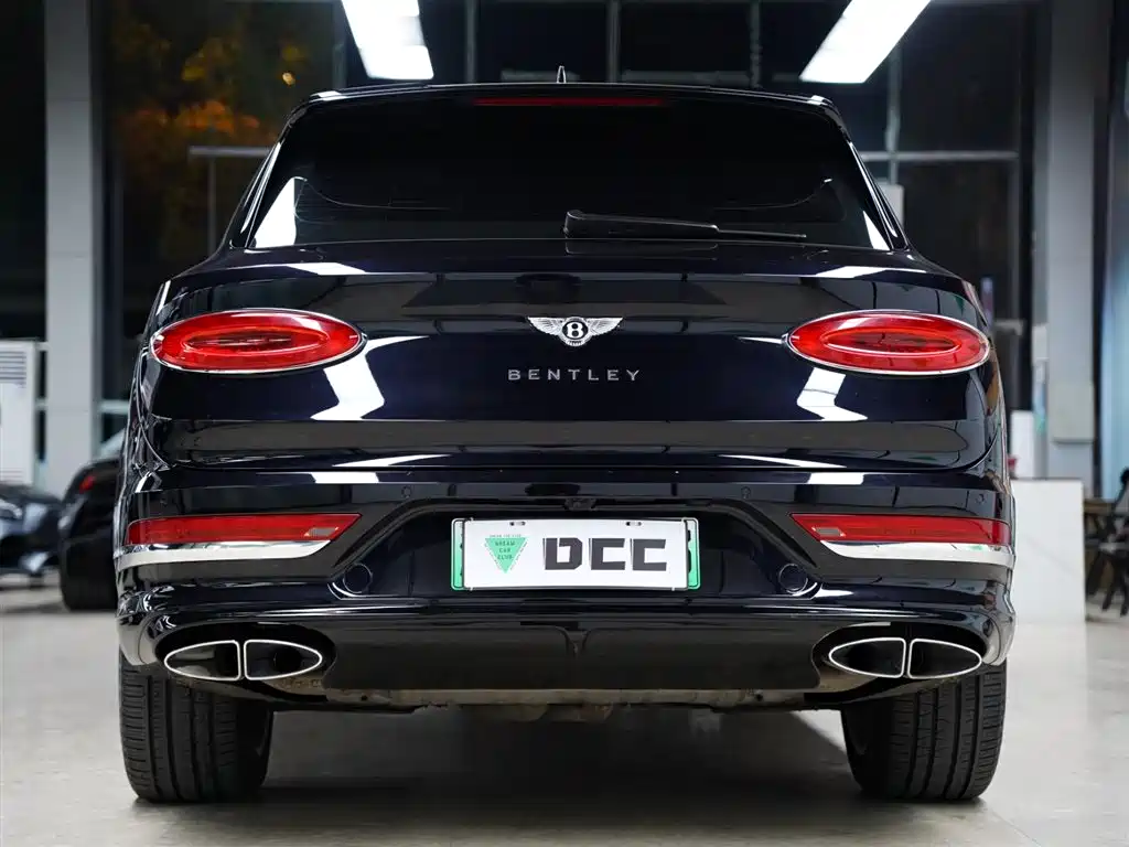 BENTLEY TIMYUE PLUG-IN HYBRID