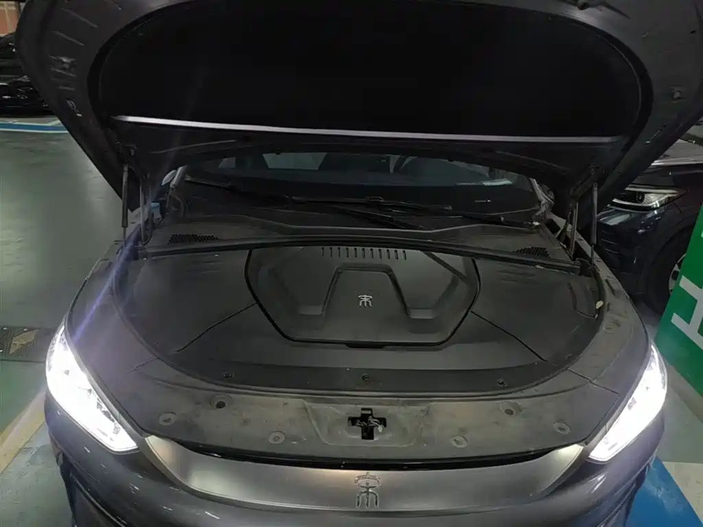 BYD Song PLUS PHEV 2021 EV Premium Model фото 20