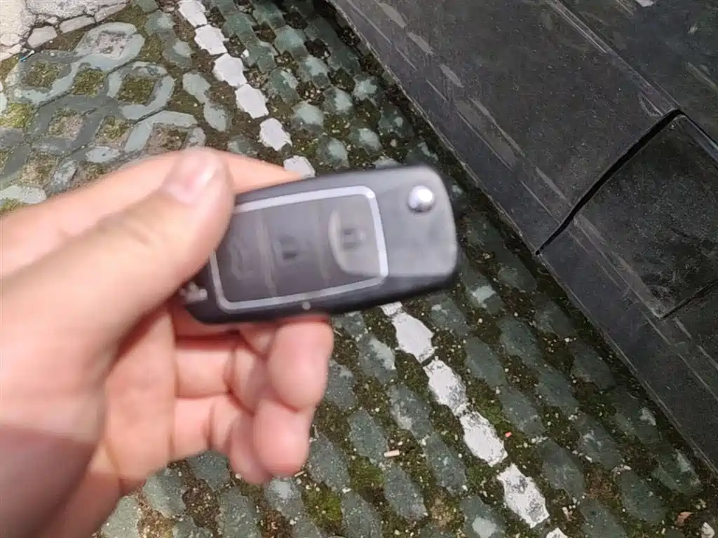 DONGFENG POPULAR LINGZHI