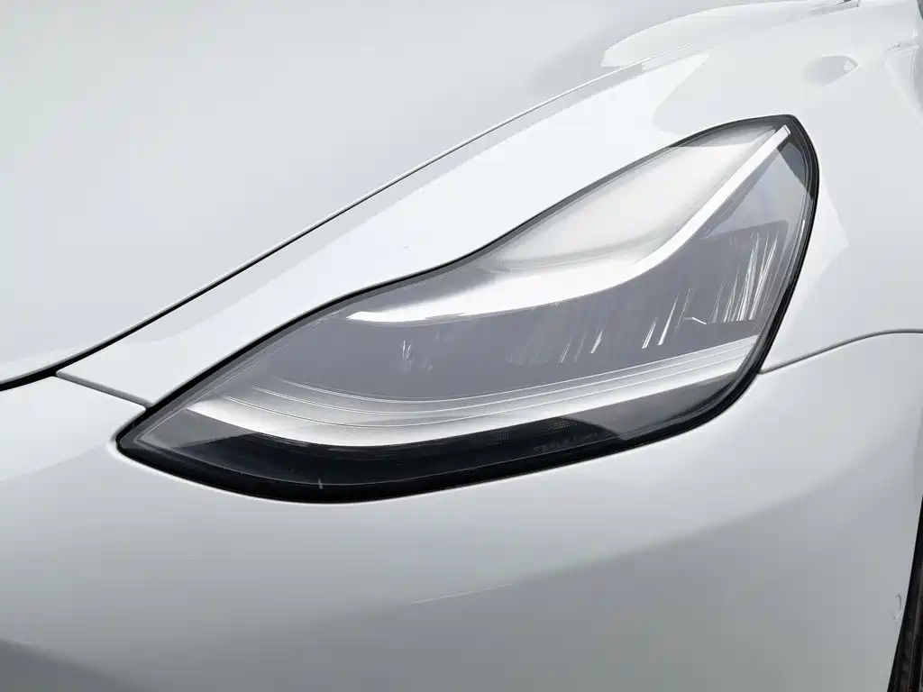 Tesla Model 3 2020 2019 Standard Range Rear-Wheel Drive Upgrade