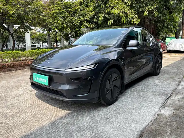 Tesla Model Y 2025 Rear-Wheel Drive