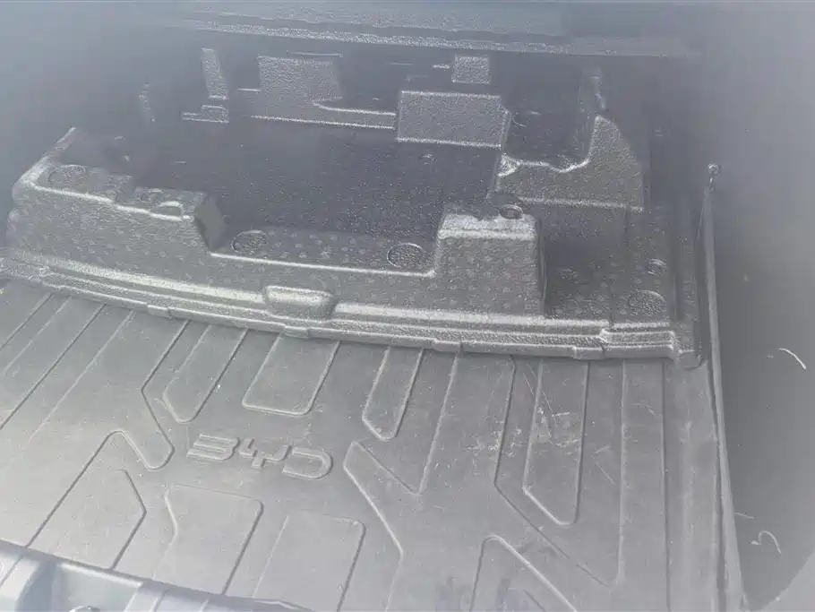 BYD Destroyer 05 2024 Glory Edition DM-i 55KM Luxury фото 4