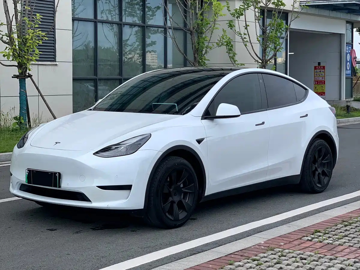Tesla Model Y 2023 Rear-Wheel Drive Edition