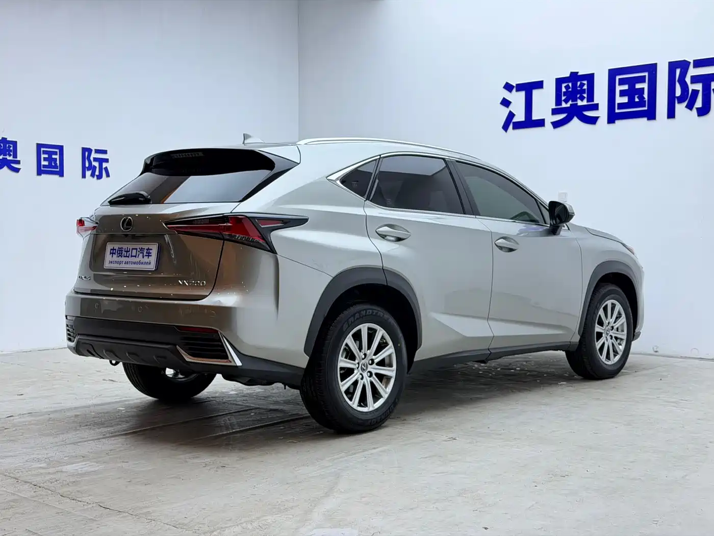 Lexus NX 2018 Model 200 AWD Fengshang Edition China V фото 20