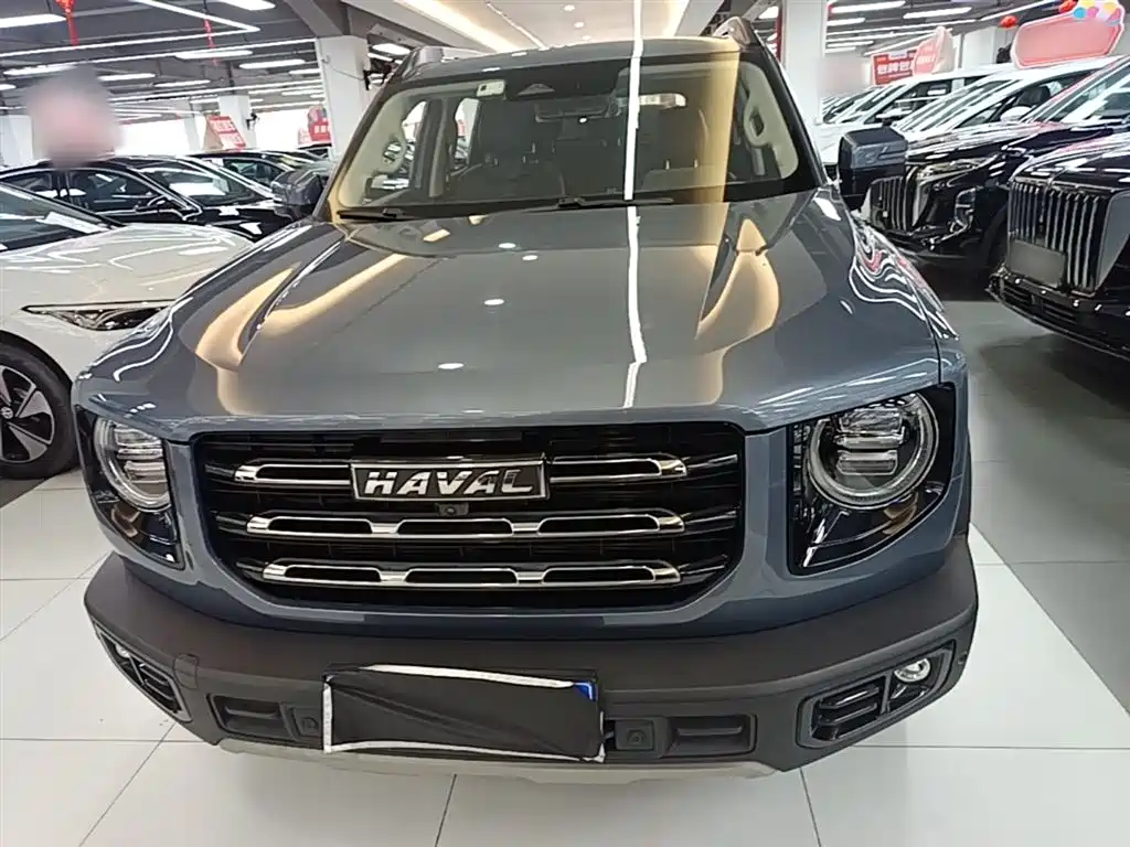 Haval Big Dog 2021 2.0T DCT 4WD Chinese Rural Dog Edition фото 3