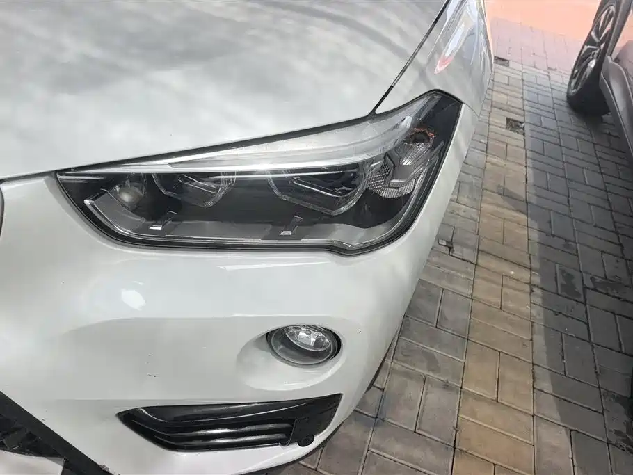 BMW X1 2018 xDrive20Li Luxury Model фото 5