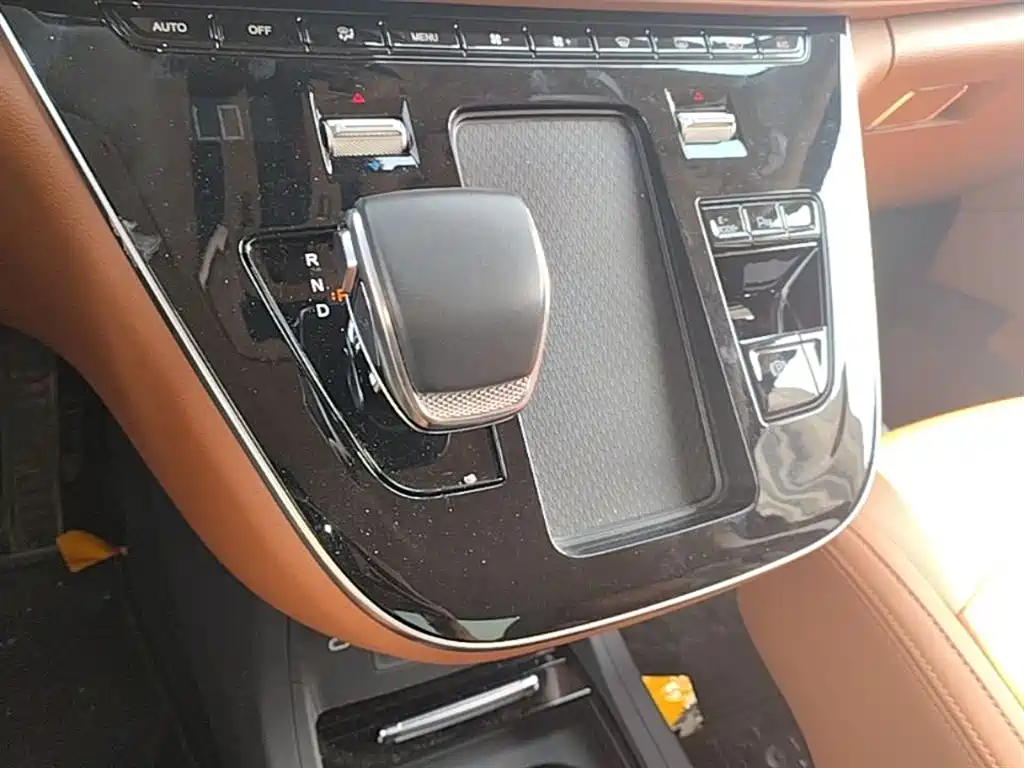 Hongqi HQ9 PHEV 2024 Model 2.0T AWD Business Edition фото 14