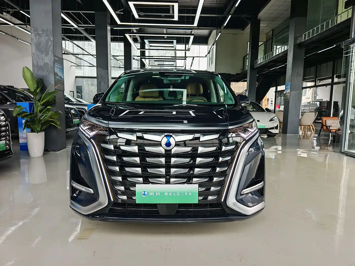 Denza D9 2022 DM-i 970 AWD Flagship фото 23