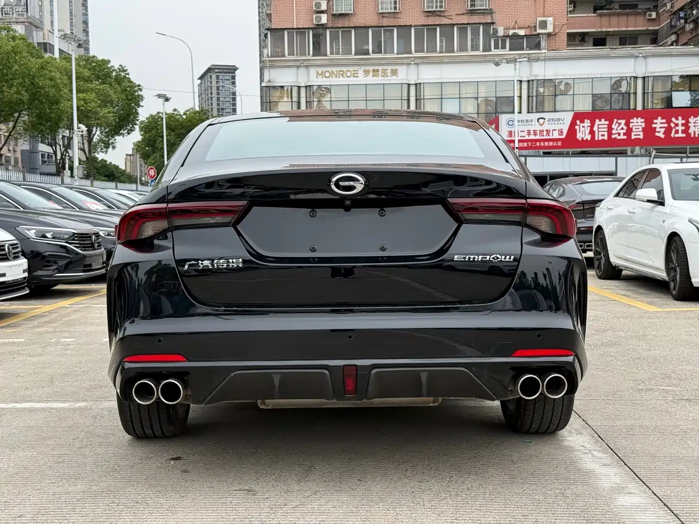GAC Trumpchi Trumpchi Emkoo 2024 Model 270T DCT Shadow Leopard S Edition фото 5
