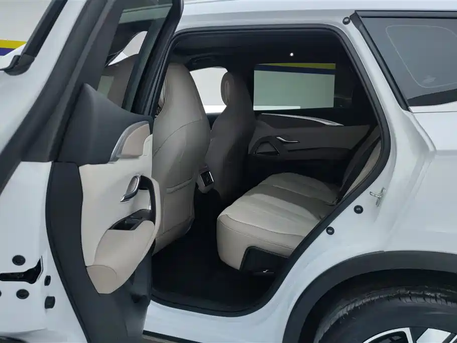 BYD Song Pro New Energy 2024 Glory Edition DM-i 110KM Excellence фото 11