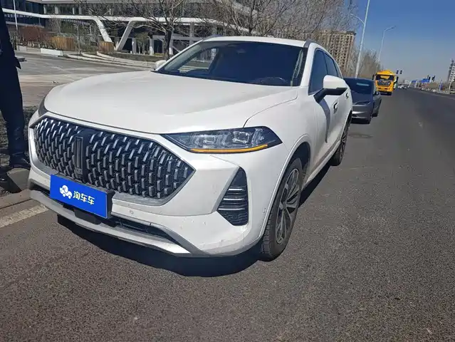 WEI PAI WEI BRAND MOCHA