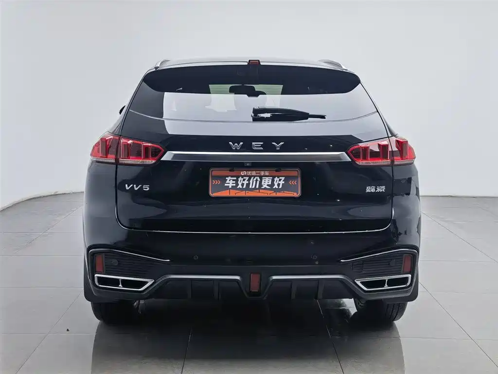 WEI PAI WEI BRAND VV5