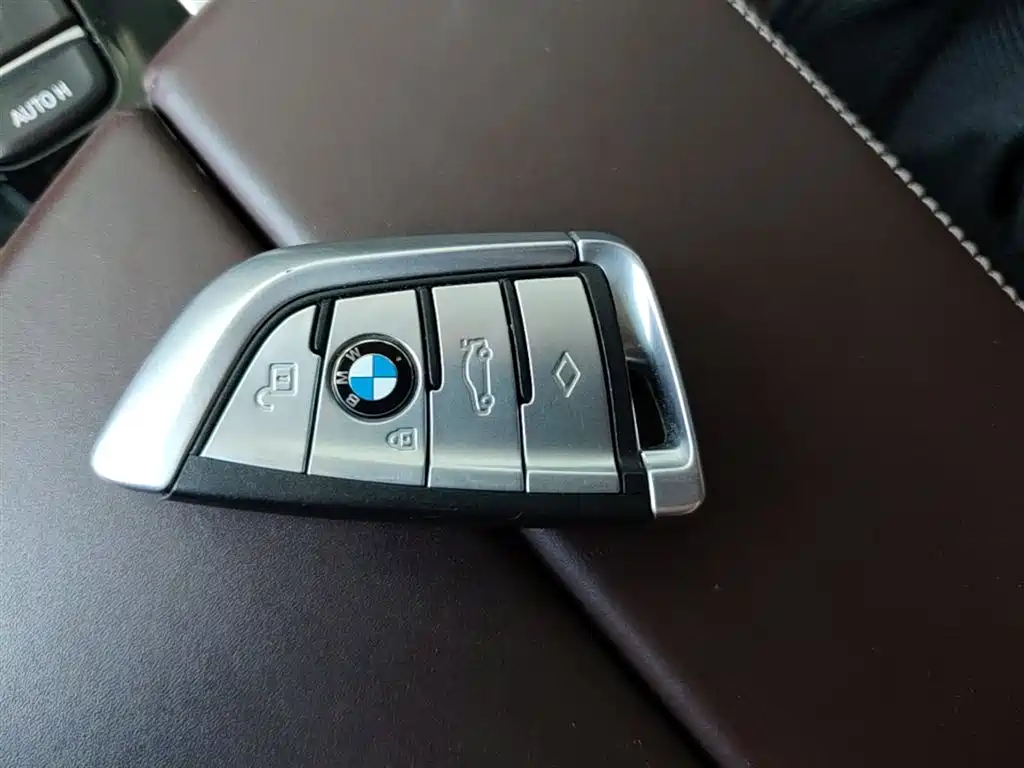 BMW 5 Series 2020 530Li Leading Luxury Package фото 9