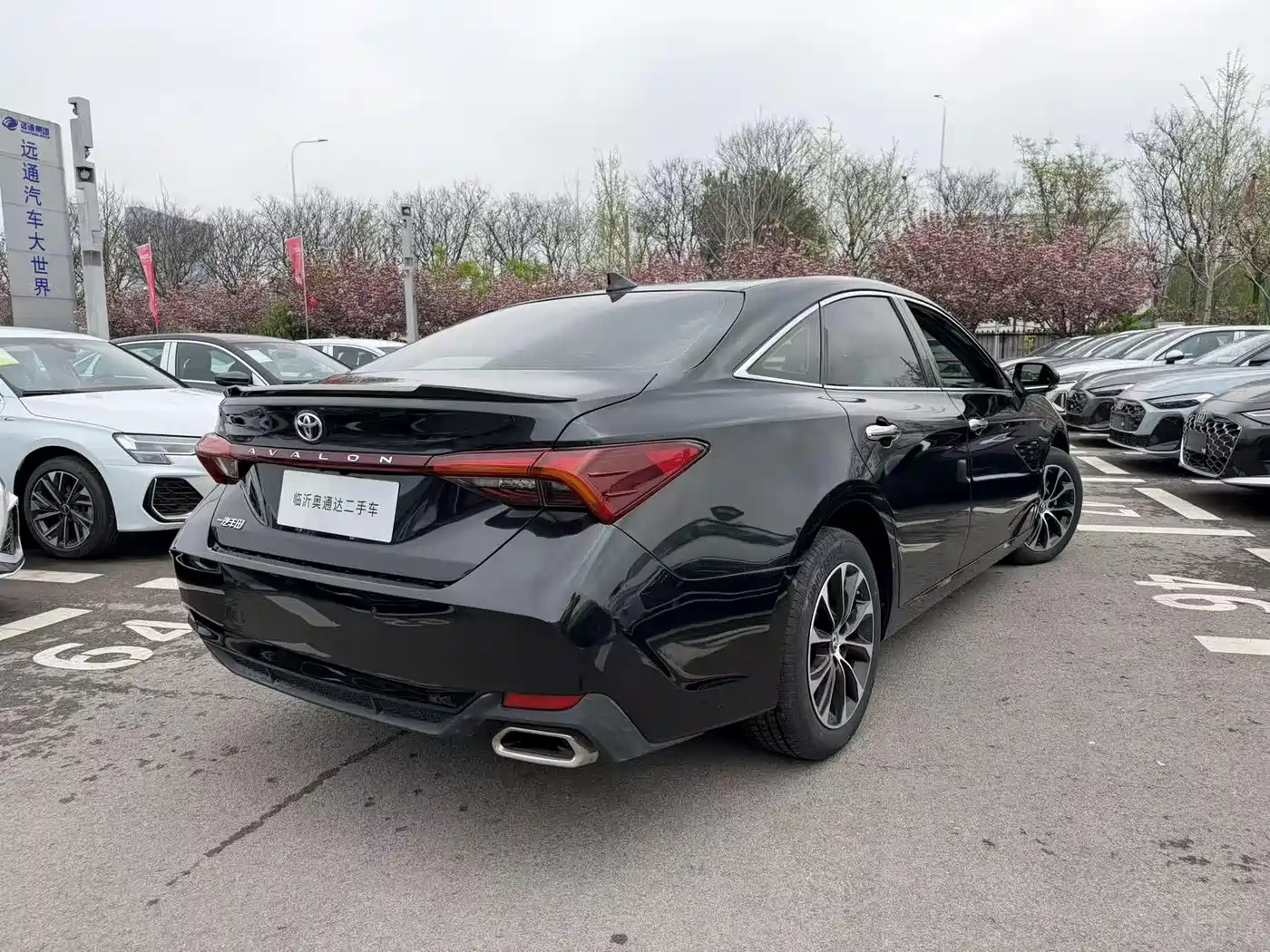 TOYOTA ASIAN DRAGON