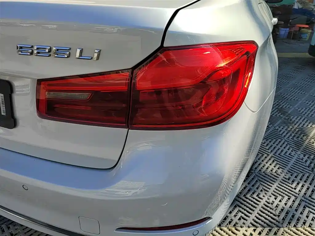 BMW 5 Series 2019 525Li Luxury Package фото 8