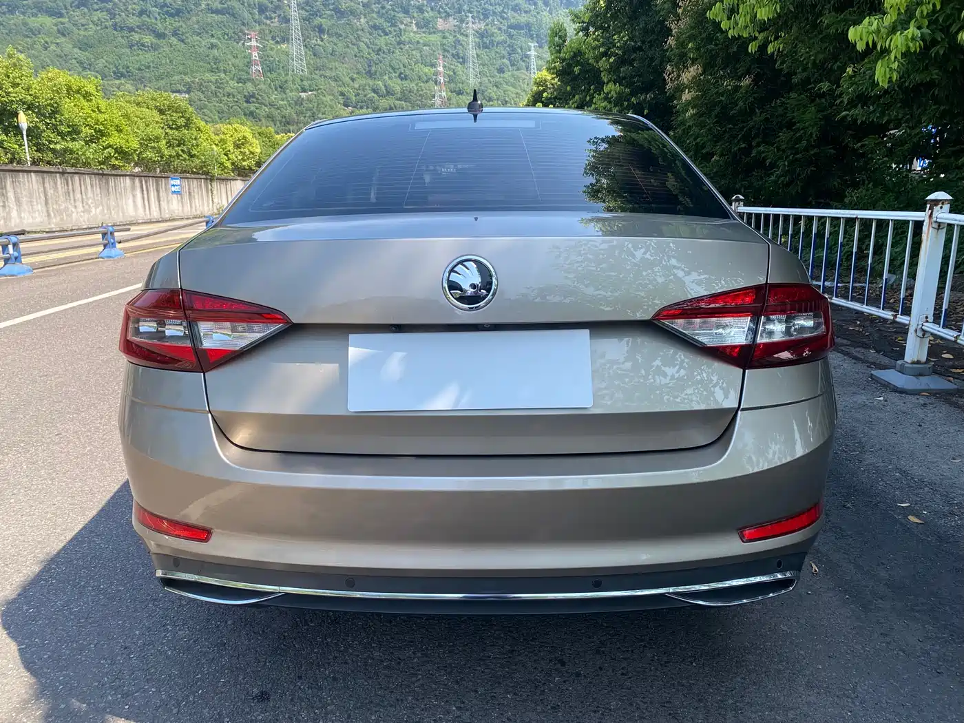 Škoda Octavia 2018 TSI280 DSG Luxury Edition фото 8