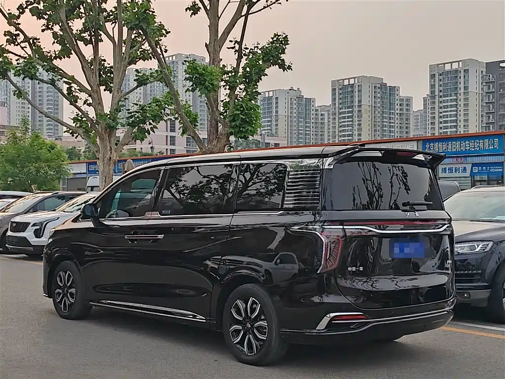Hongqi HQ9 2023 2.0T Smart Connect Flag Smooth Edition фото 18