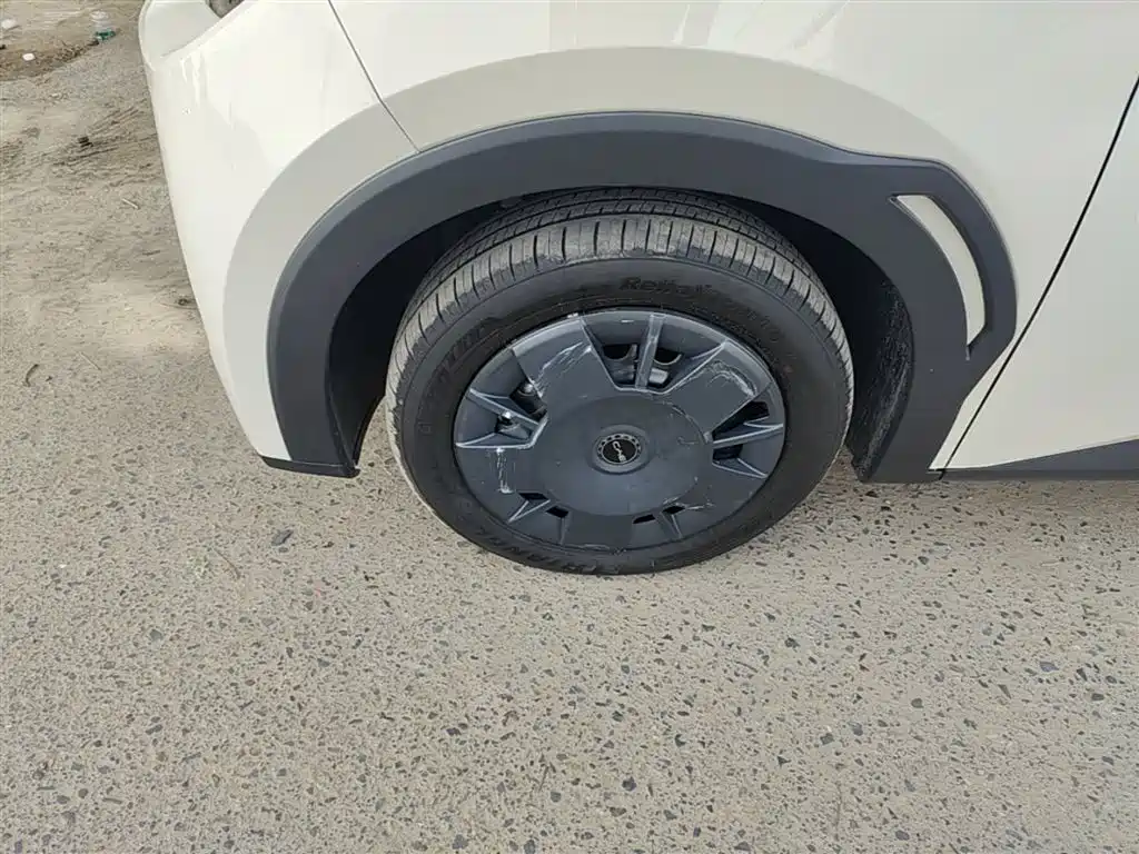 BYD Seagull 2025 Smart Drive Edition 305km Vitality Version фото 23