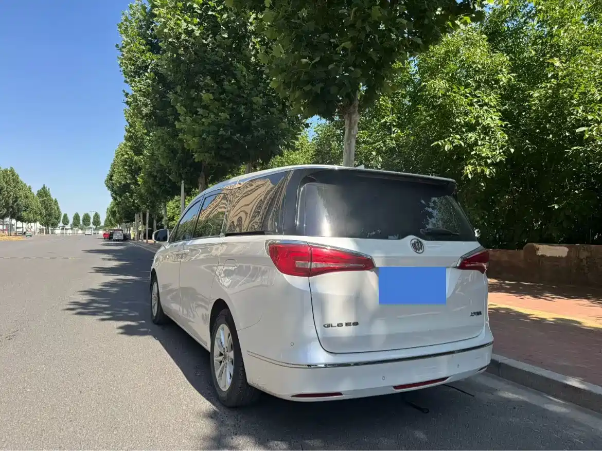 Buick GL8 2018 ES 28T Premium Type China VI фото 9