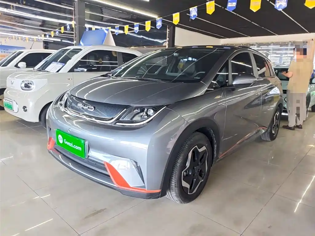 BYD Dolphin 2021 Model 405km Fashion Edition