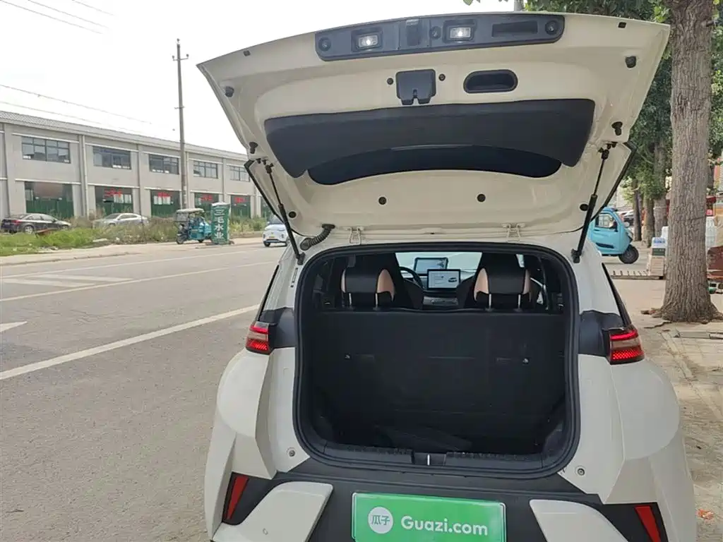 BYD Seagull 2025 Smart Drive Edition 305km Vitality Version фото 19