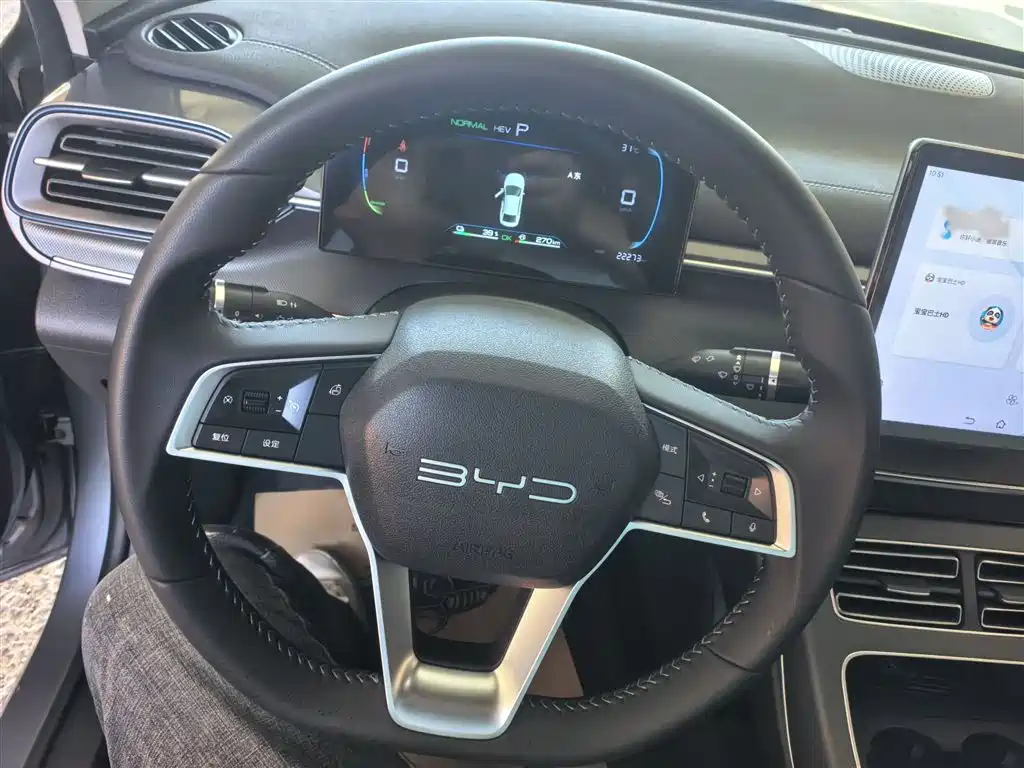 BYD Destroyer 05 2024 Glory Edition DM-i 55KM Luxury фото 20