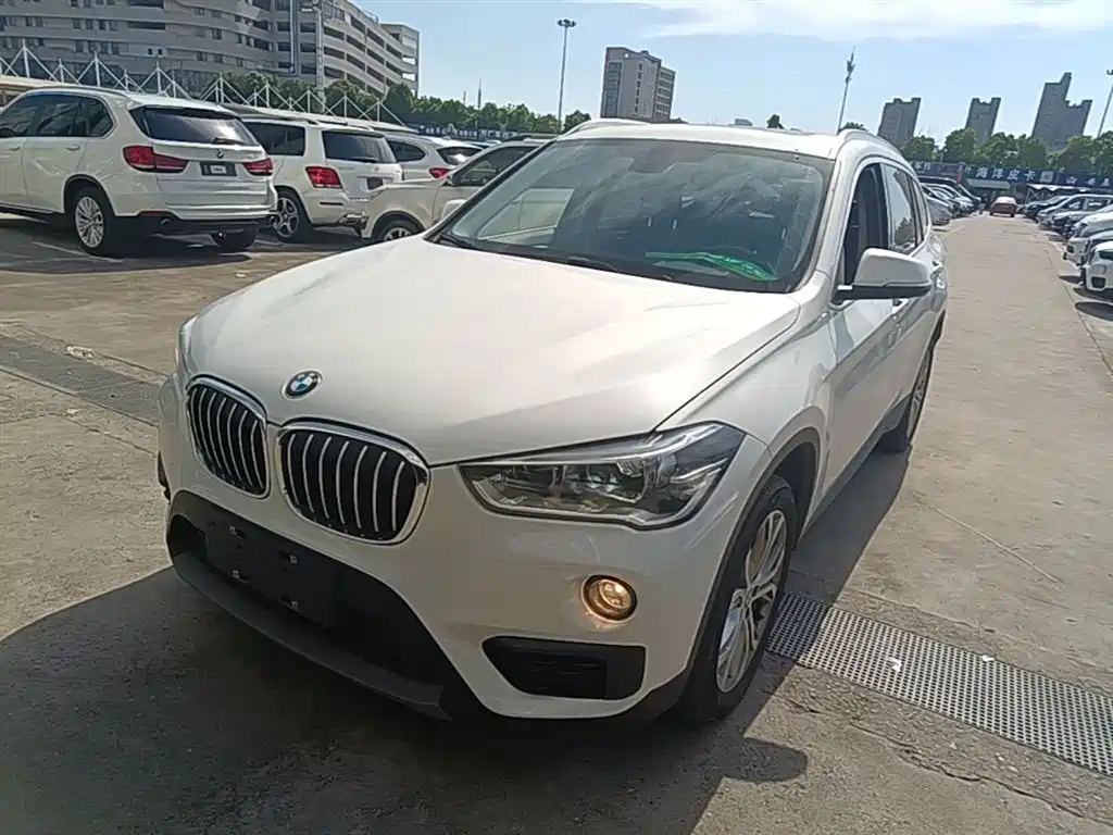 BMW X1 2018 sDrive20Li Leading Model фото 2