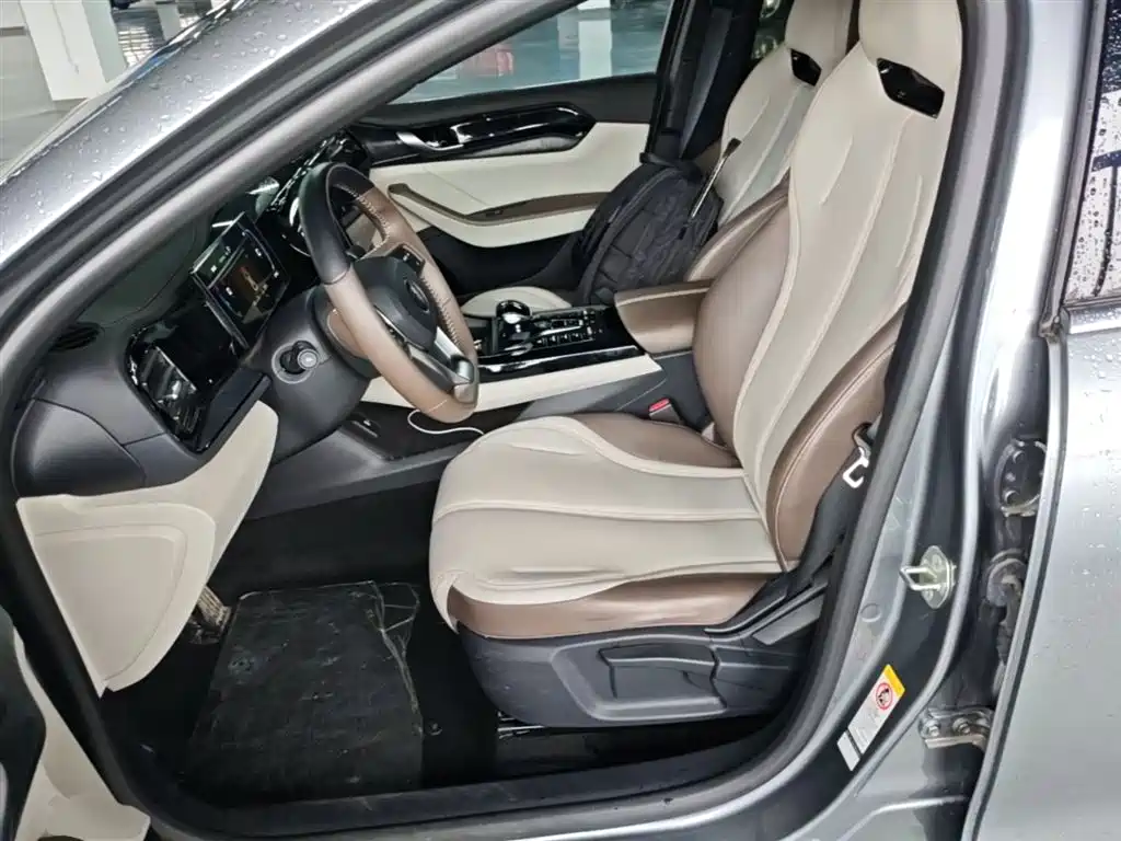 BYD Qin PLUS 2024 Glory Edition DM-i 55KM Leading фото 22