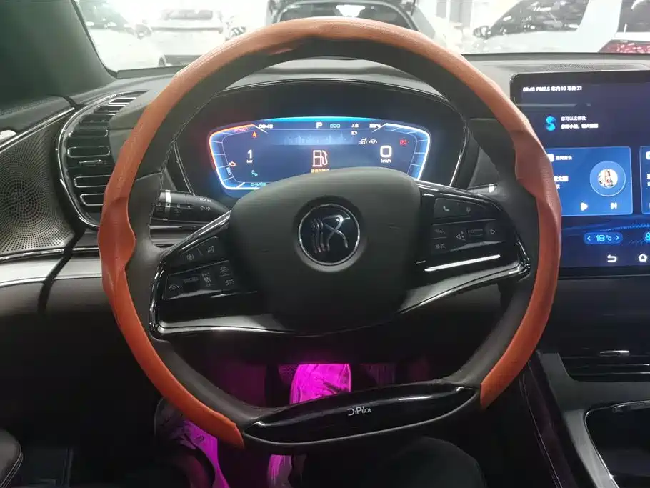BYD Han 2023 DM-i Champion Edition 121KM Honor фото 15