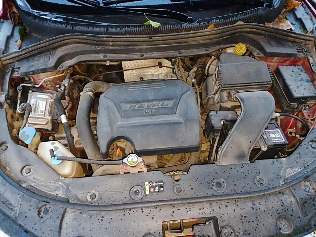 Photo 11 - Haval H2s