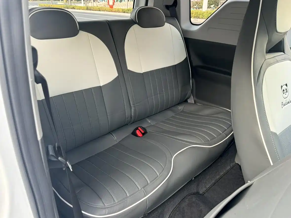 Geely Galaxy Panda 2023 Panda Mini 200km Endurance Bear фото 9
