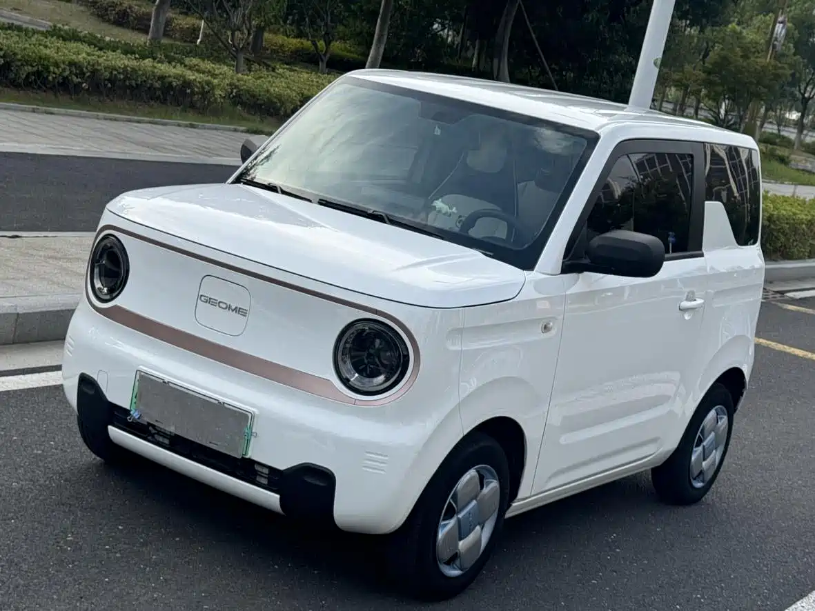 Geely Galaxy Panda 2023 Panda Mini 200km Endurance Bear