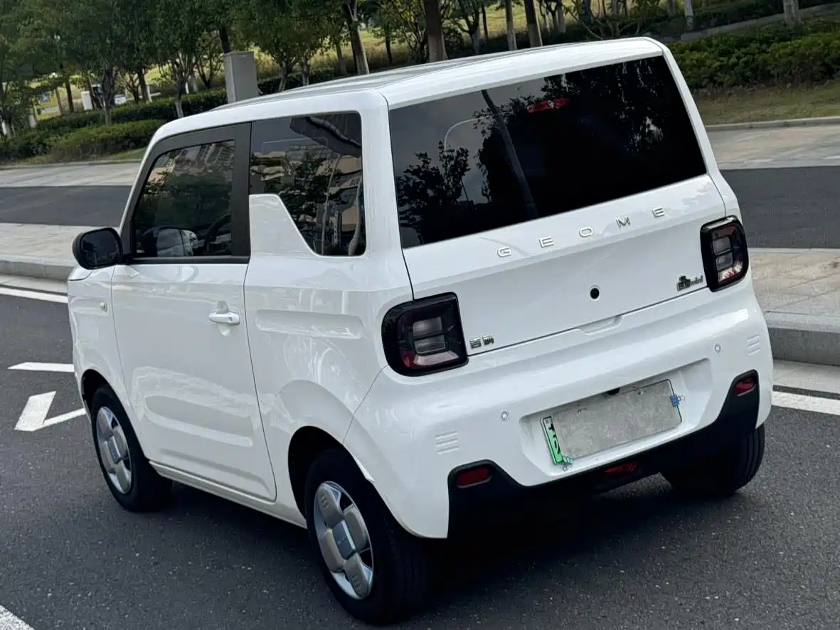 Geely Galaxy Panda 2023 Panda Mini 200km Endurance Bear фото 4