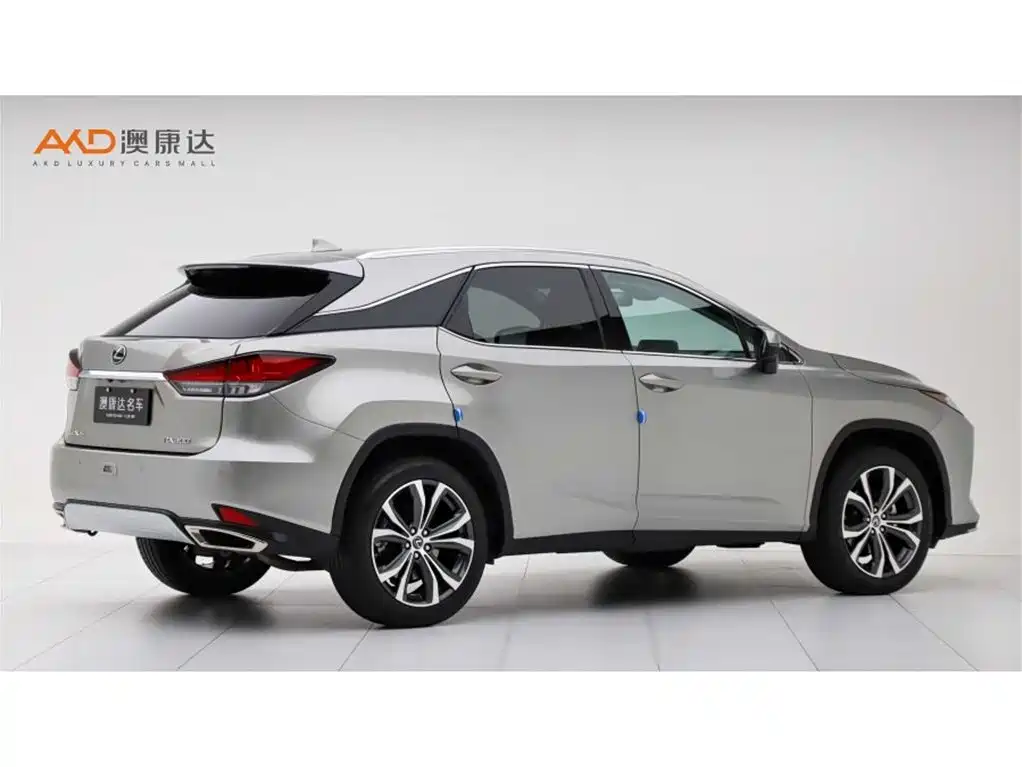 Lexus RX 2020 300 4WD Elegance Edition China VI фото 3