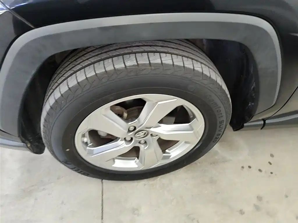 Toyota RAV4 Rongfang 2020 2.0L CVT 2WD Trend Edition фото 23