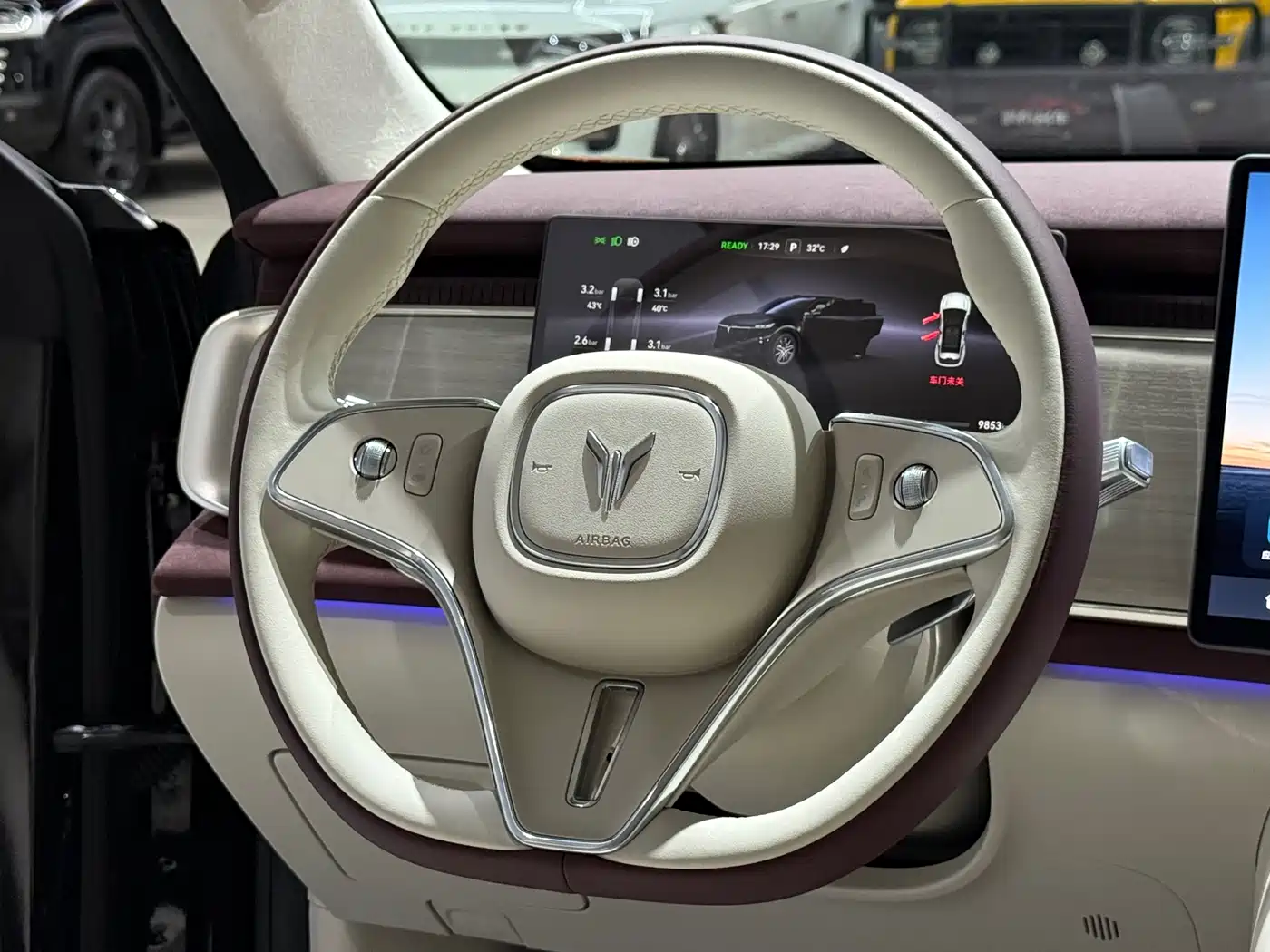 Voyah Auto Voyah Zhiyin 2025 Base фото 14