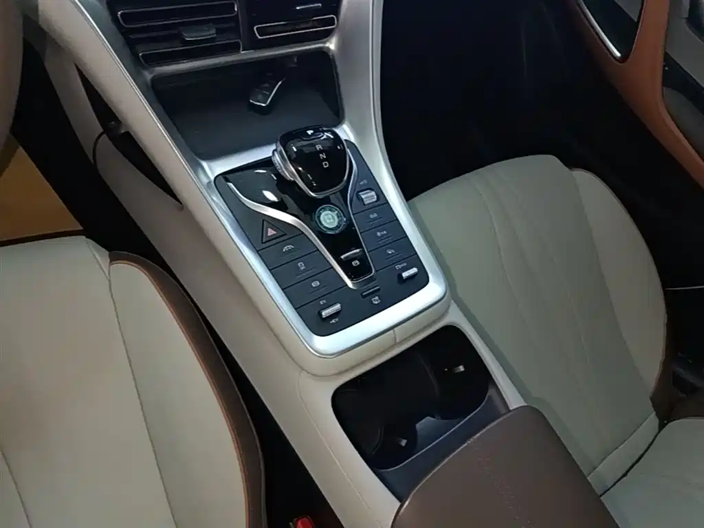 BYD Song Pro New Energy 2022 DM-i 51km Premium фото 14
