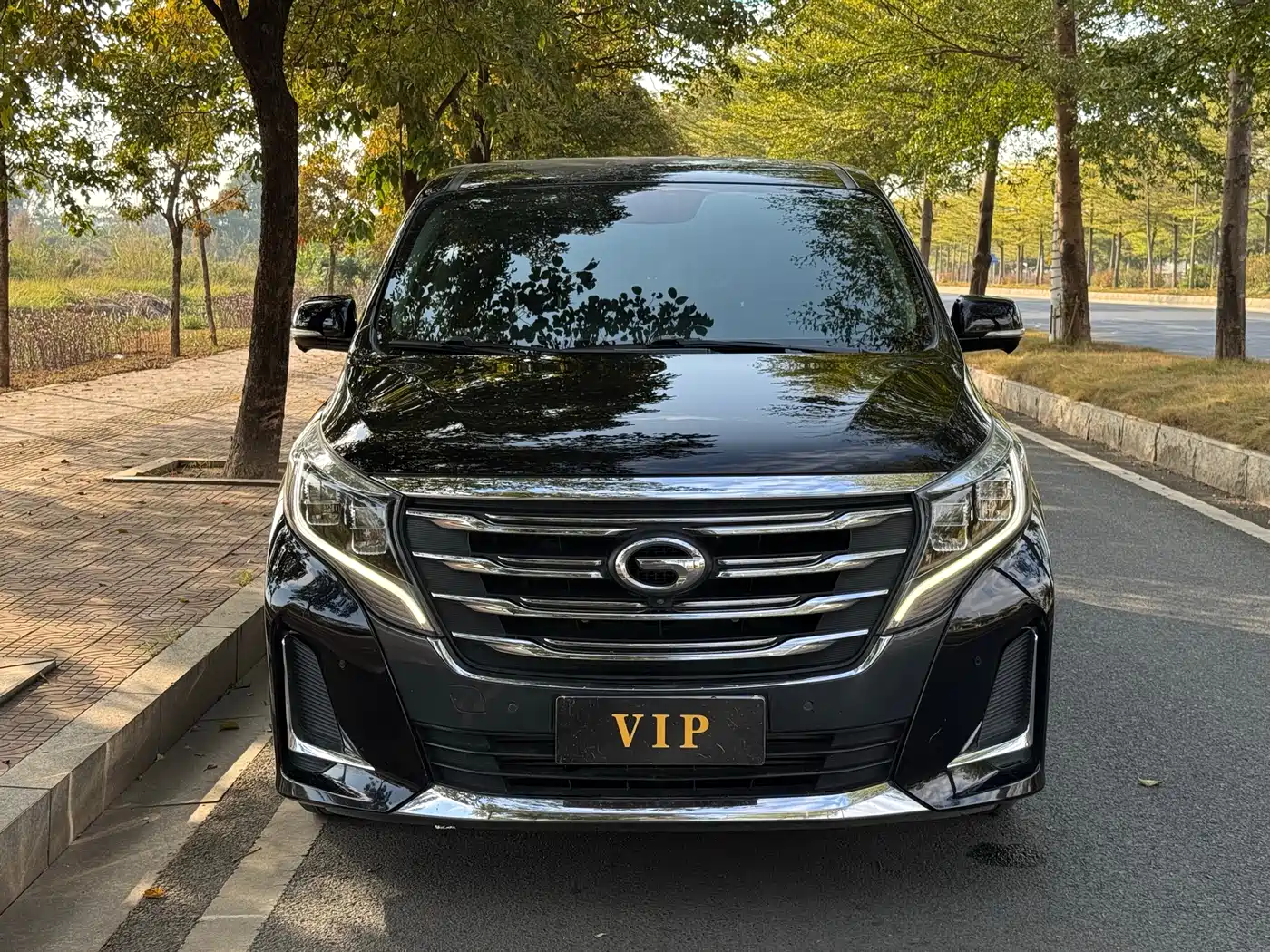 GAC Trumpchi Trumpchi M8 2020 Pilot 390T Ultimate Edition фото 2