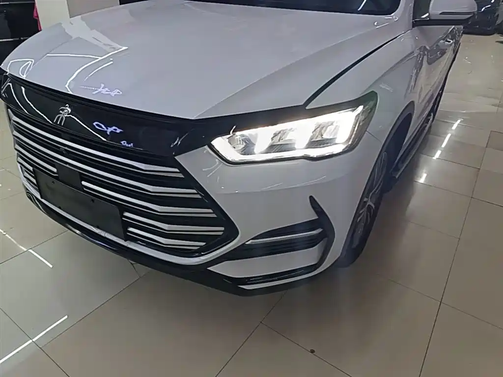 BYD Song Pro New Energy 2022 DM-i 51km Premium фото 24